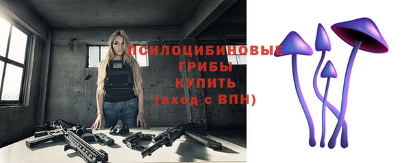 гашик Беломорск