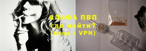 шишки Белоозёрский