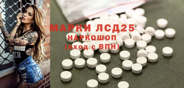 гашик Беломорск