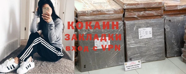 шишки Белоозёрский
