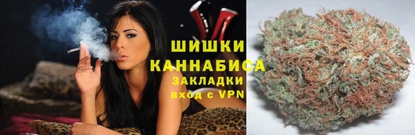 шишки Белоозёрский